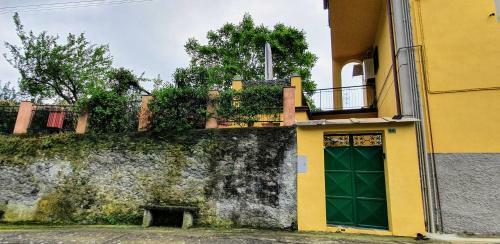 Apartamento New 2022 Hanging Garden