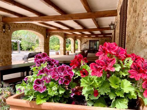 Apartamento Casale San Giovanni