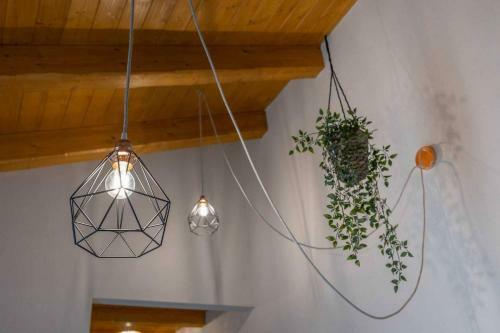 Bed & Breakfast La Barca Ant Al Pr�