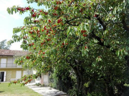 Agroturismo Casa Badinot