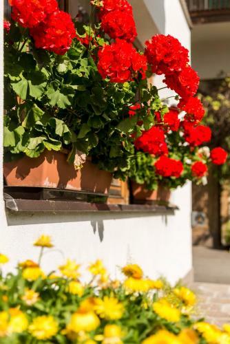Hotel Gratschwirt