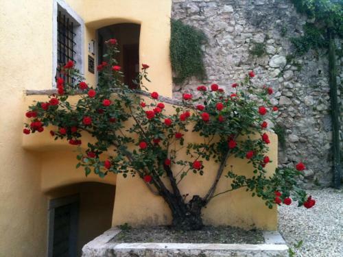 Hostal Relais Palazzo Lodron
