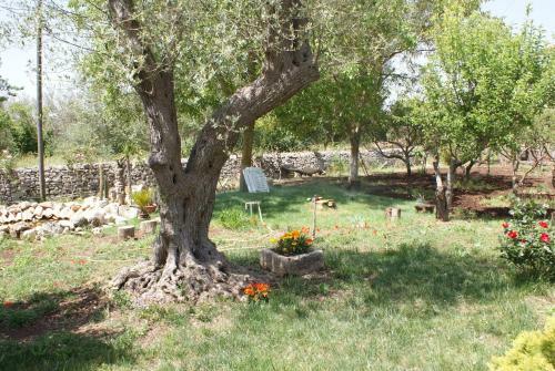Bed & Breakfast Giogaia