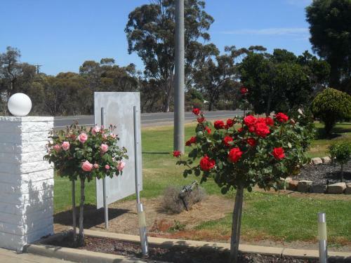 Motel Dimboola