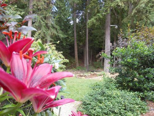 Apartamento Guesthouse Mountain Escape