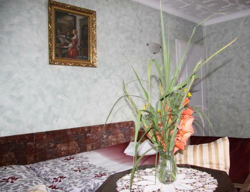 Hostal Villa Anastazis - Penzion Eden