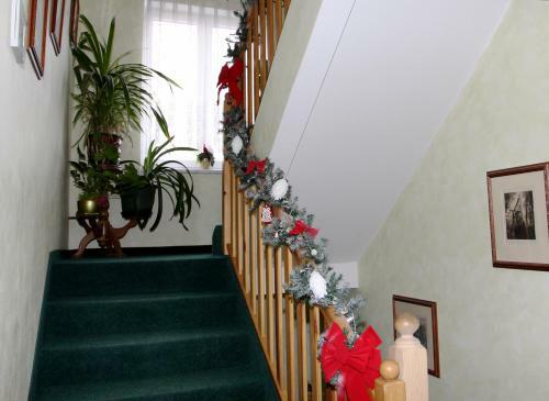Hostal Villa Anastazis - Penzion Eden