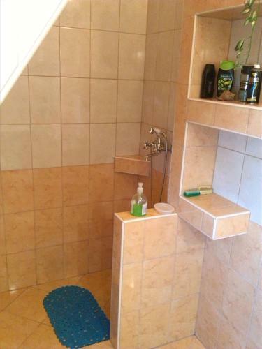Hostal Alpesi Vend�gh�z
