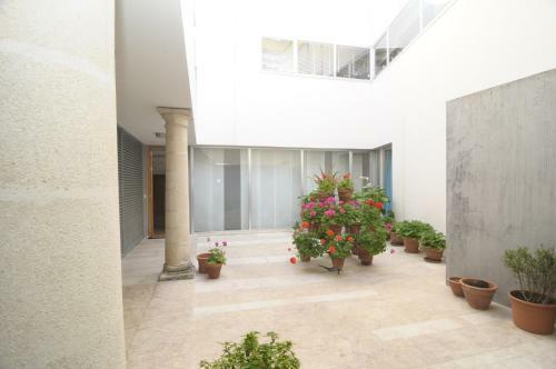 Apartamento La Casa Del Limonero