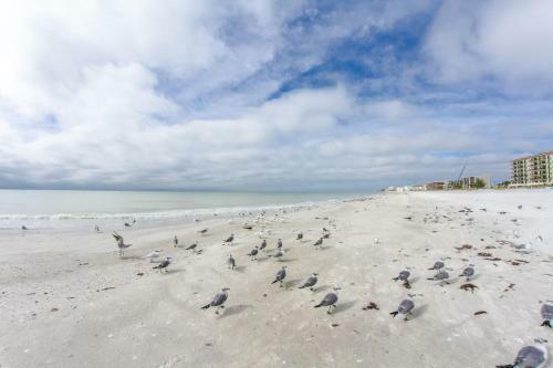 238 Surf Song Resort