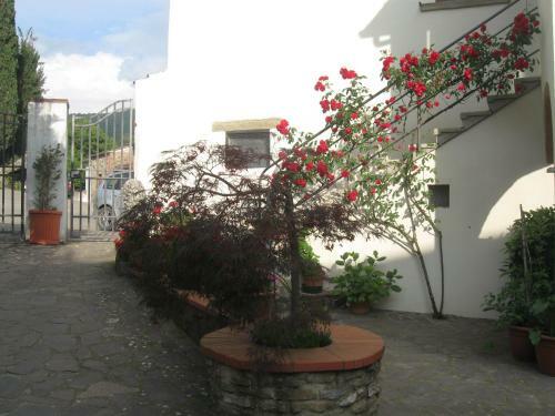 B&B Casa Delle Rose