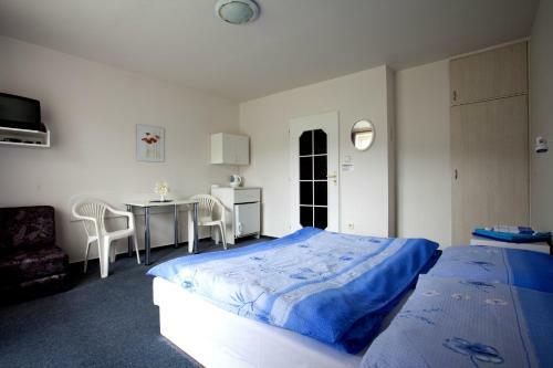 Hostal Penzion Van?k