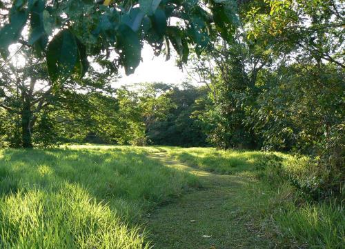 Bed & Breakfast Daintree Valley Haven