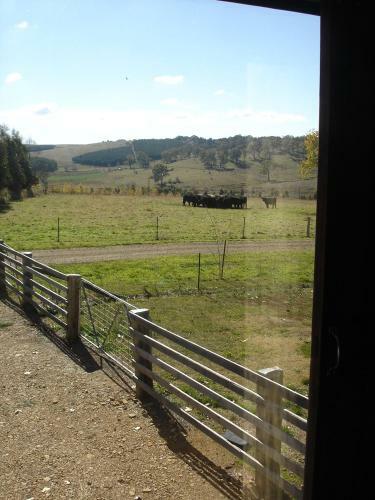 Bed & Breakfast Black Sheep Inn