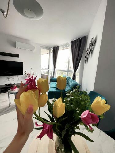 Brand New First Line Sea View 2 Bedroom Apartment