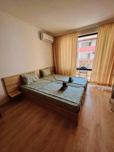 Lovely Studio Apartment On The Beach
