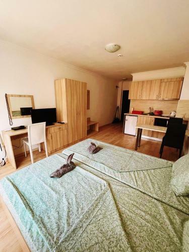 Lovely Studio Apartment On The Beach