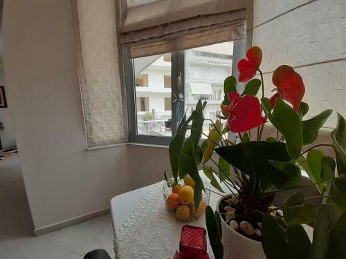 Sarandacity Apartment