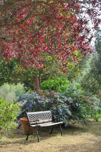 Bed & Breakfast Castello Di Belforte