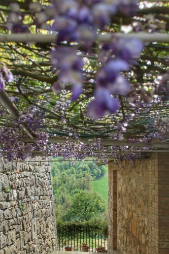 Bed & Breakfast Castello Di Belforte