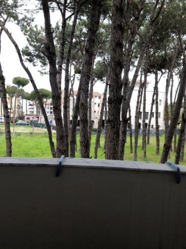 Apartament 8