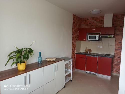 Albergue Ubytovac� Za?�zen� Karol�na
