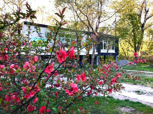 Hostal Fekete G�lya Pihen?h�z