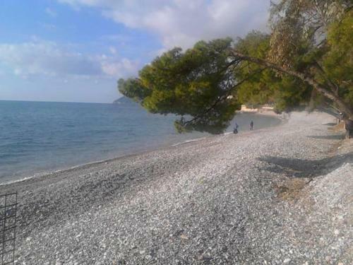 Apartamento Dom Matija
