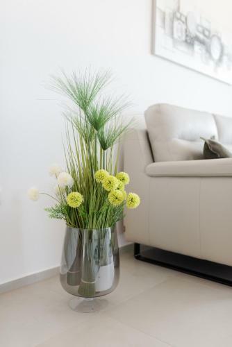 Apartment Malu