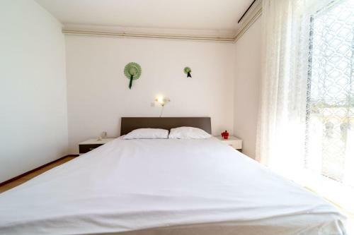 Apartmani Bo?ica
