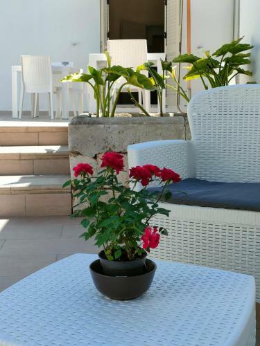 Bed & Breakfast Le Tre Rose Di Roberta