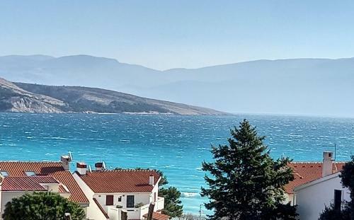 Apartman Bolob