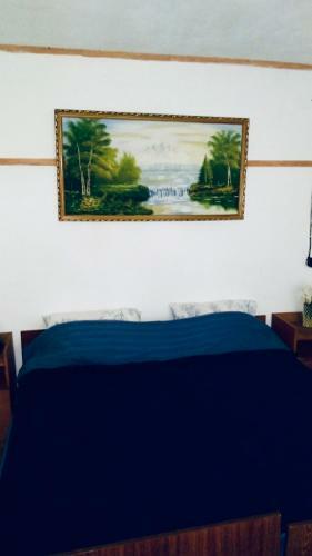 Cabana Vinatorului