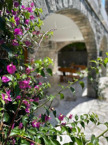 Apartamento Villa Jovicic