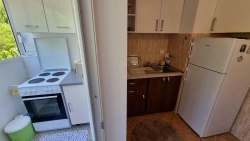 Apartman Savina