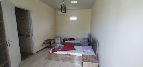 Hostal Kazbegi