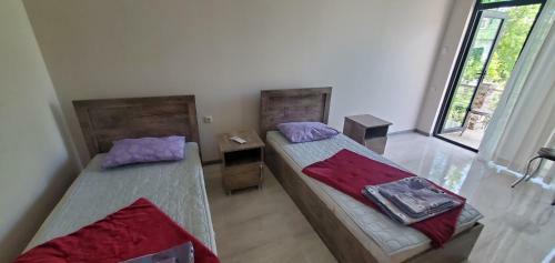 Hostal Kazbegi