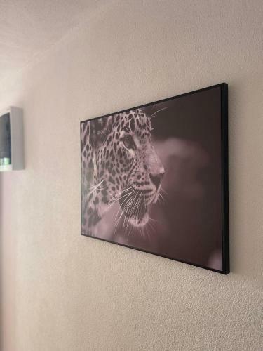 Apartmani Sutomore Stijepovic