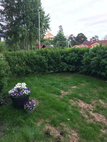 Apartamento Solferie Rolfsmyra 8