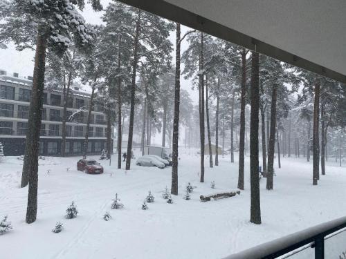 Lake Apartment Zefir 15