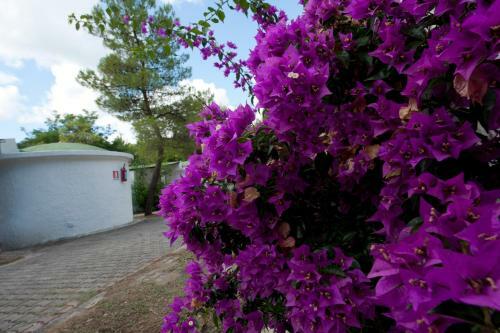 Villaggio Capo Vieste