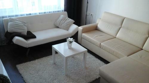 Pavlova Apartment
