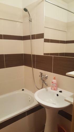 Pavlova Apartment