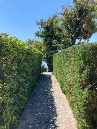 Apartamento Il Casalino