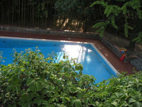 Bed & Breakfast Villa La Nussa