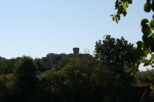 Bed & Breakfast Villa La Nussa