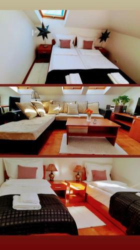 Apartman President