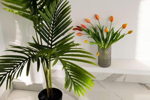 Apartment Penthouse Laurus
