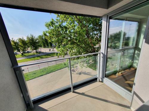 Apartament Rocha