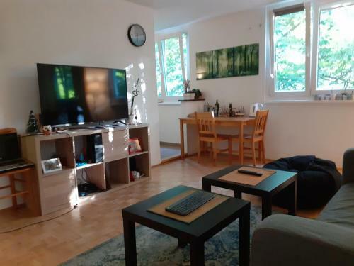 Apartment New Belgrade